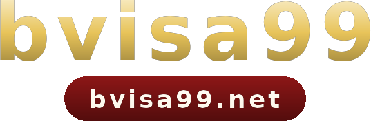 bvisa99 logo